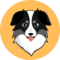 Australian Safe Shepherd
